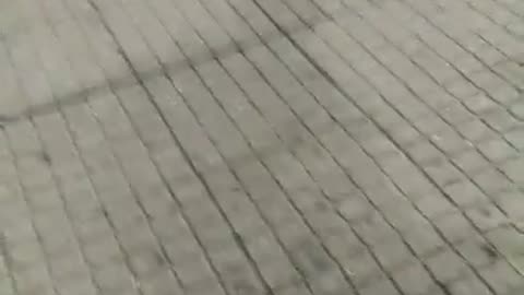 Directo segarro de esta noche (Cáceres, Extremadura, Spain, 27-7-25)
