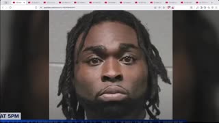 Should They Let Negro That Punched White Woman In The Face Go After 20 Mugshots