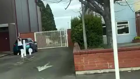 Funny