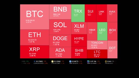 Live Coin Price Watch!