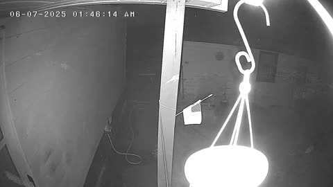 Night of the Bug Swarm (Camera used link below)
