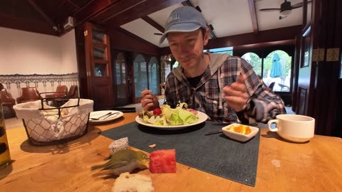 Vlogger Shares Breakfast With Little Bird