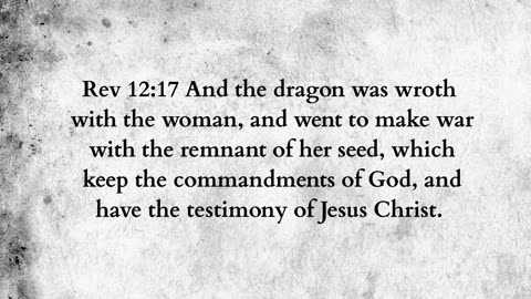 Martus Ministry -471- Proven ones