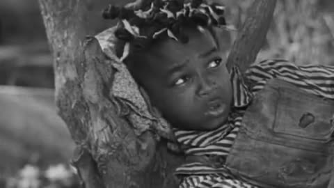 021 The First Seven Years