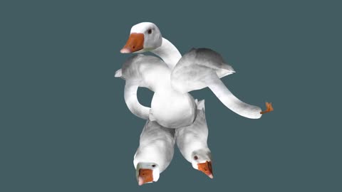 HONK