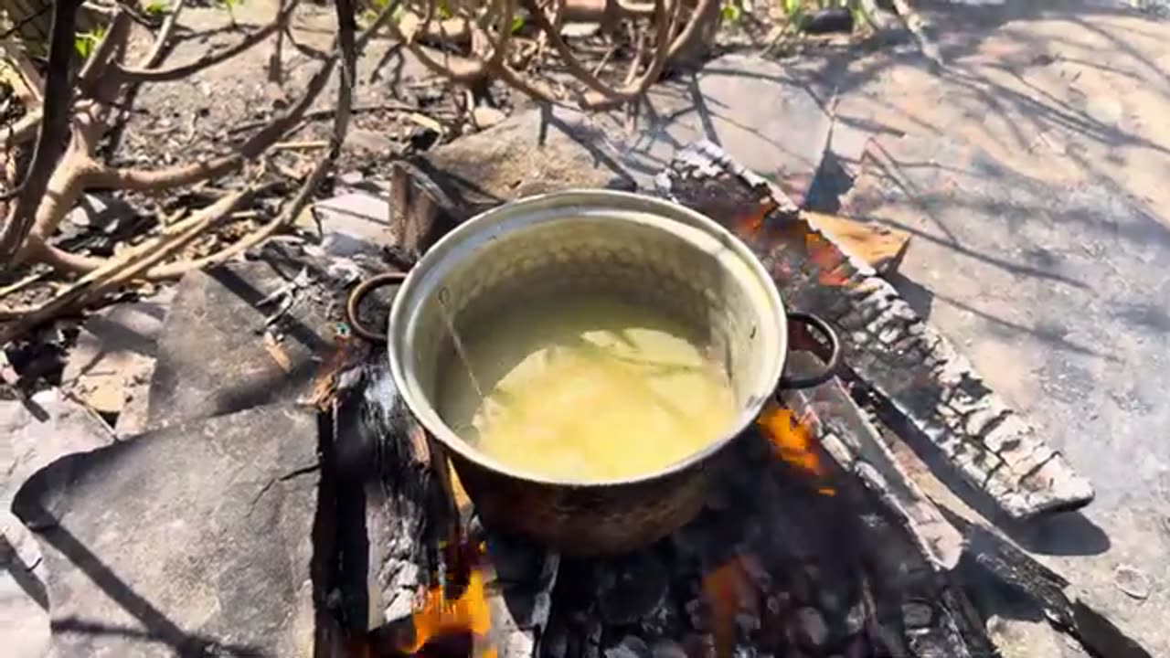 “The Hidden Secret in This Grilled Fish That No One Told You About!”🔥🦈