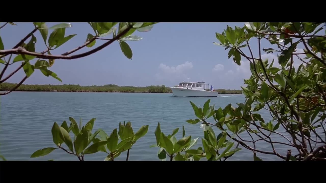 THRILLER - ACTION - After The Storm - FILM