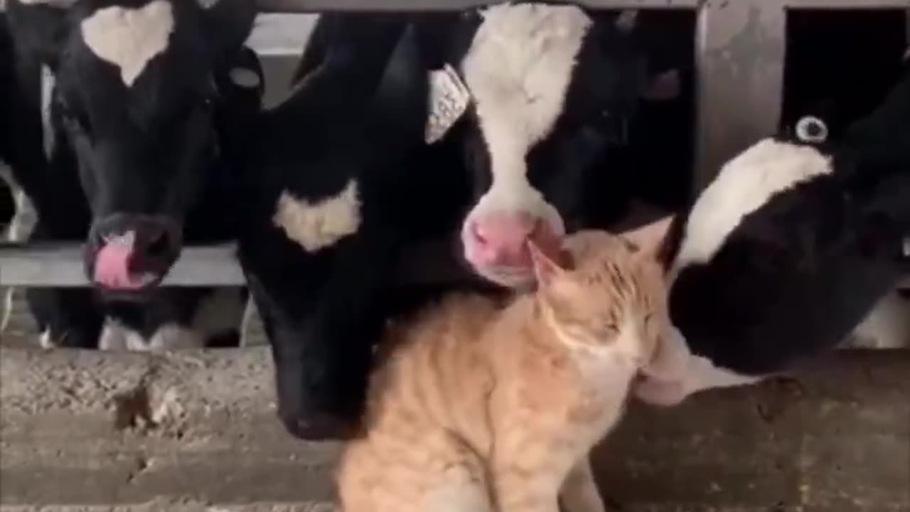 time for The Big Bath