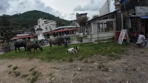 PEGO EM UMA SITUAÇÃO DIFÍCIL NO NEPAL 🇳🇵