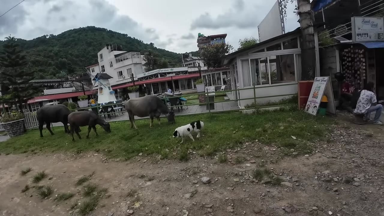 PEGO EM UMA SITUAÇÃO DIFÍCIL NO NEPAL 🇳🇵