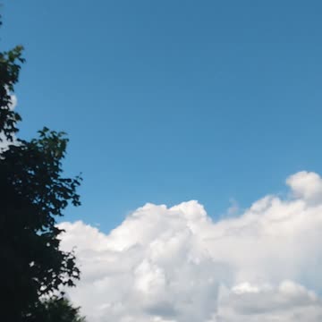 DARPA Chemtrails "they were poisoning us"