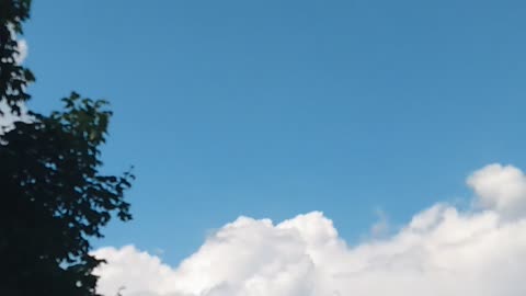 DARPA Chemtrails "they were poisoning us"