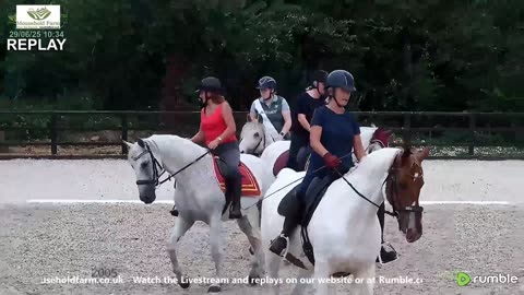 Mousehold Farm All Weather Riding arena