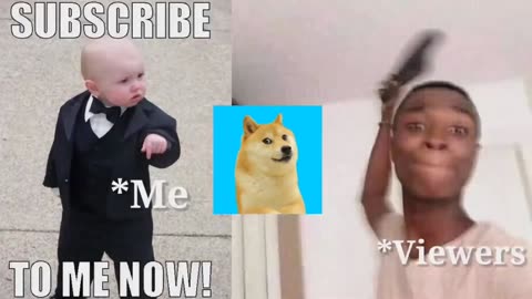 funny videos