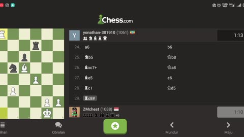 She mistake in a last game chess