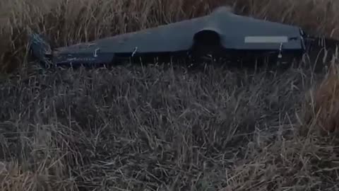 🌾🔥 Ukraine Russia War | The High Cost of Ukrainian Grain Amid Conflict | RCF