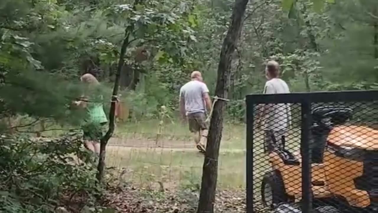 this isn't going to be a happy life