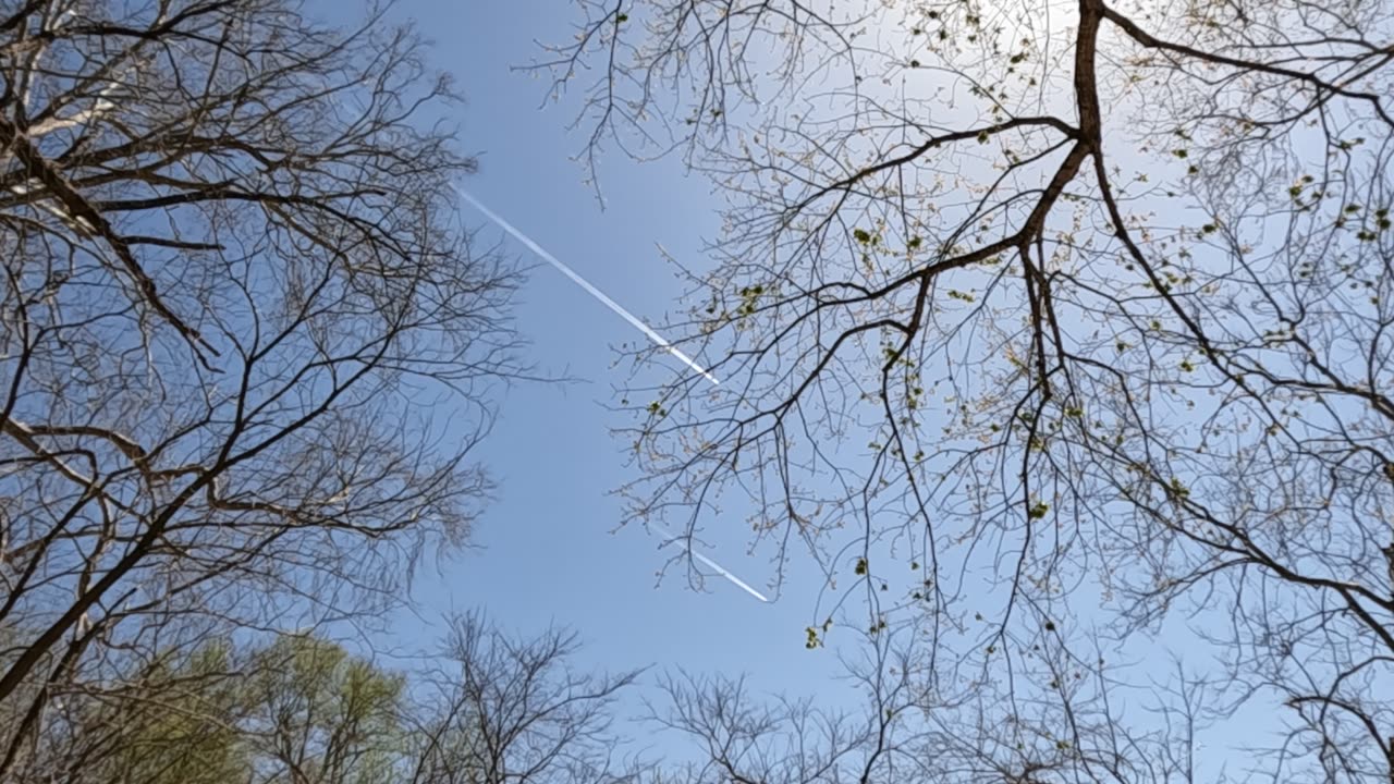 Why do they fly side by side? Answer in comments