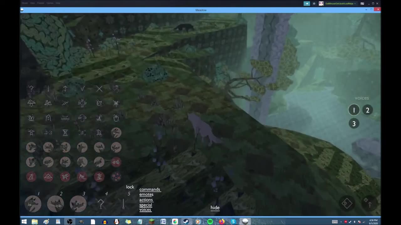 Chilling and going crazy in Meadow