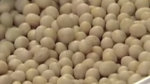 Meat is being 3D Printed