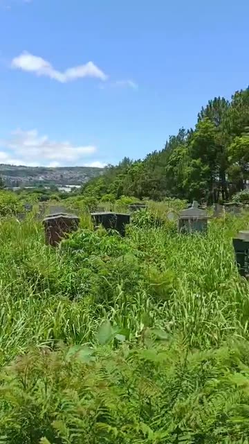 Mountain Rise Cemetery neglect sparks outrage in Pietermaritzburg