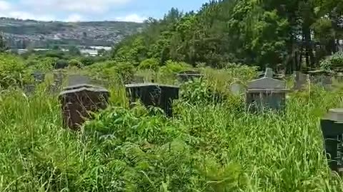 Mountain Rise Cemetery neglect sparks outrage in Pietermaritzburg