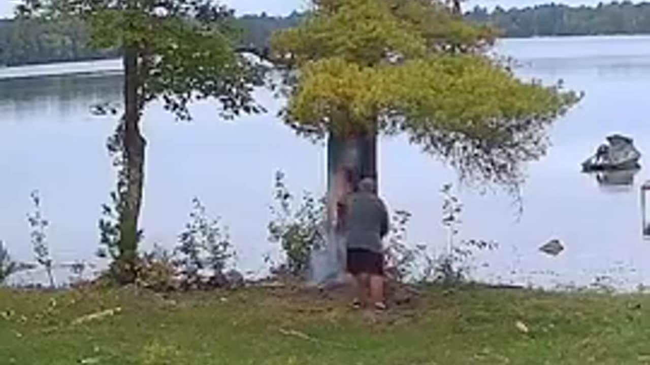 Tree struck by lightning, Tomahawk, Wisconsin.