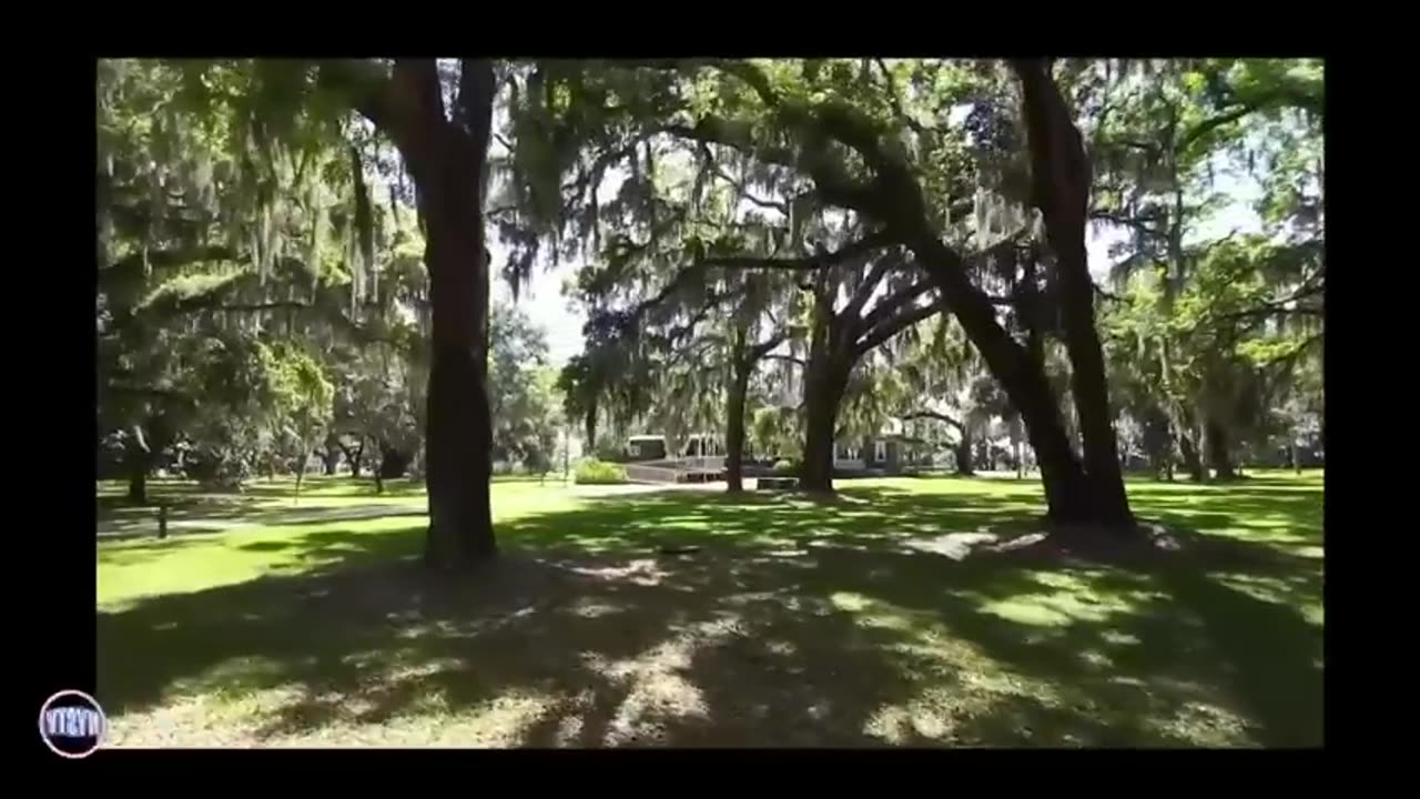 Now You See TV-Frequencies of the Gods: Temples, Deities, and Hidden Vibrations