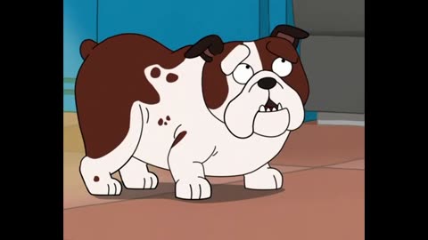 Female Bulldog