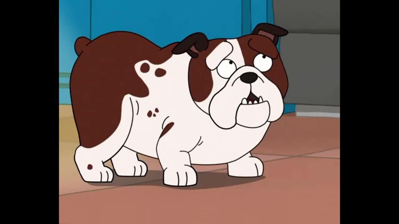 Female Bulldog