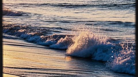 একজন জেলের জীবন বদলে দেয় এক মুক্তো | Pearl – A Heart Touching Bangla Story🌊✨