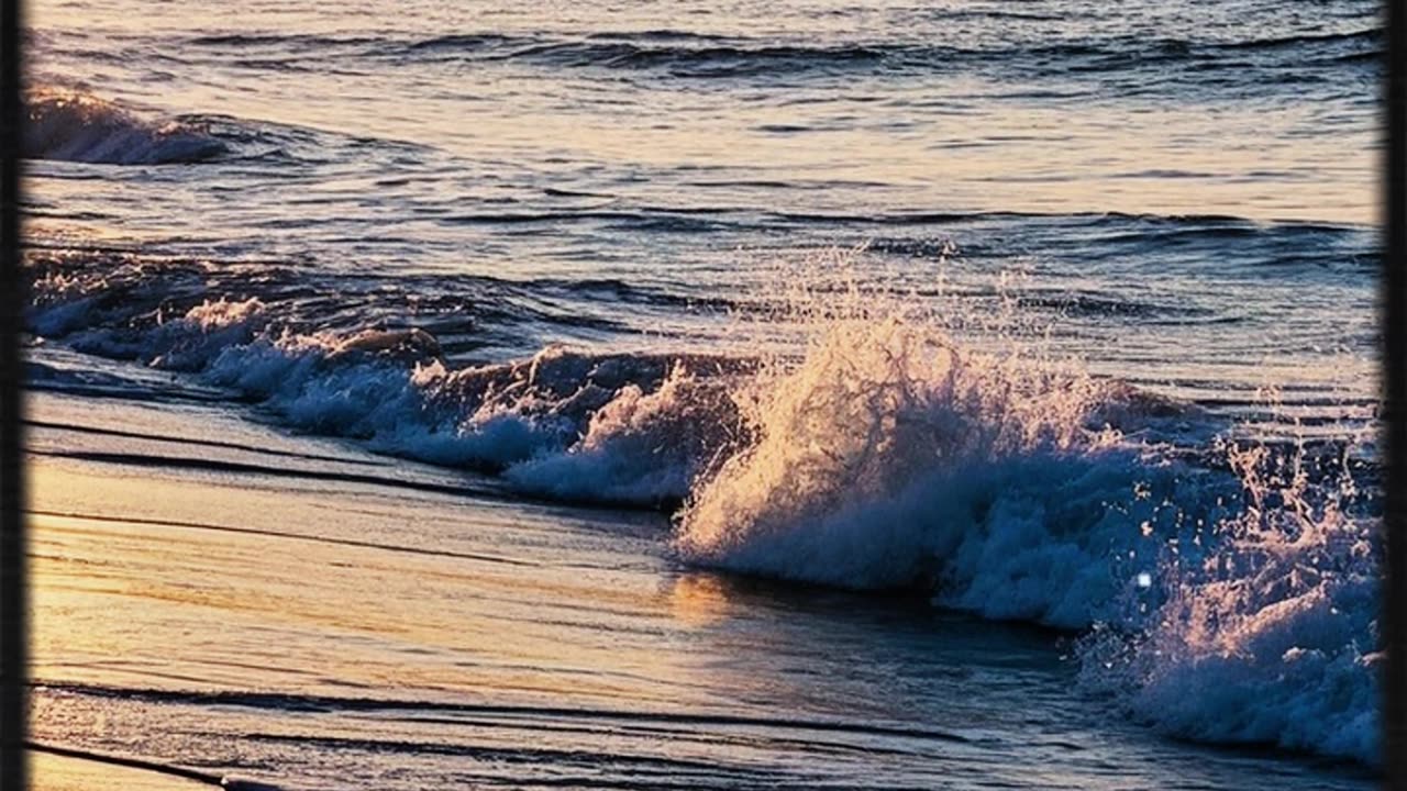 একজন জেলের জীবন বদলে দেয় এক মুক্তো | Pearl – A Heart Touching Bangla Story🌊✨