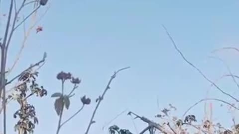 💥🌿 Myanmar War | MPL PDF Captures Airstrike Moments in Myanmar | RCF