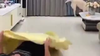 🤣🔥 You Won't Believe This Perfect Opportunity! | FunFM