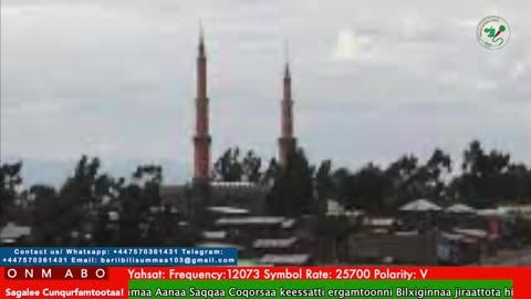Oduu Ganama ONM-ABO Hagayya 20-2025 itti dhiyaadhaa!