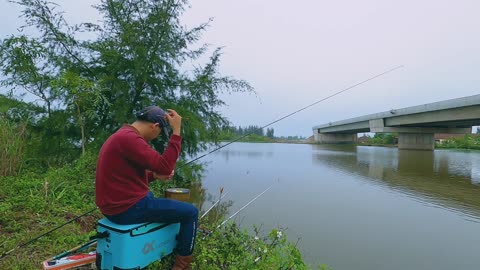 Mussel Mastery Their Environmental Role