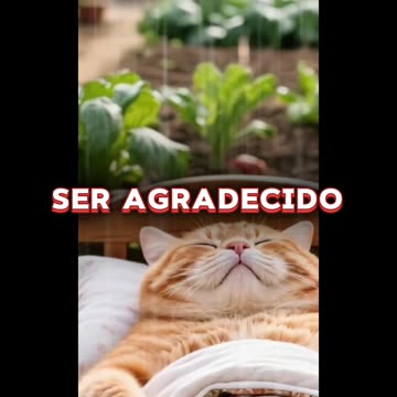 REFLEXIÓN ✨️ ✨️ ✨️ ✨️ ✨️