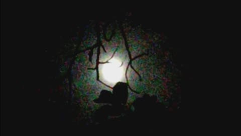 Luna Árbol