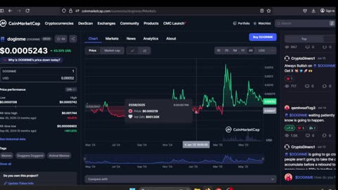 Doginme - CoinMarketCap Quick Look