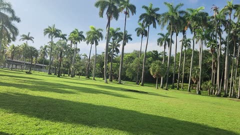 Walking @ Sewell Park - July 5, 2025 part 2 #nature #naturelovers #walkingmeditation