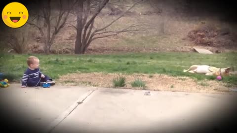 funny video