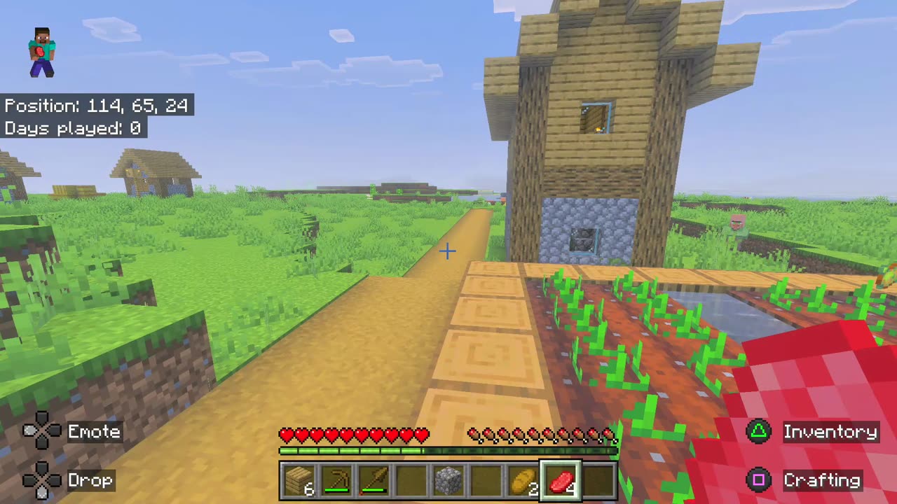 Minecraft 30 Days | Day 1 (minus the first 3 minutes due to technical difficulties)