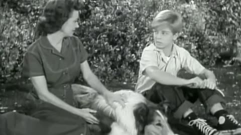 Lassie - The Journey