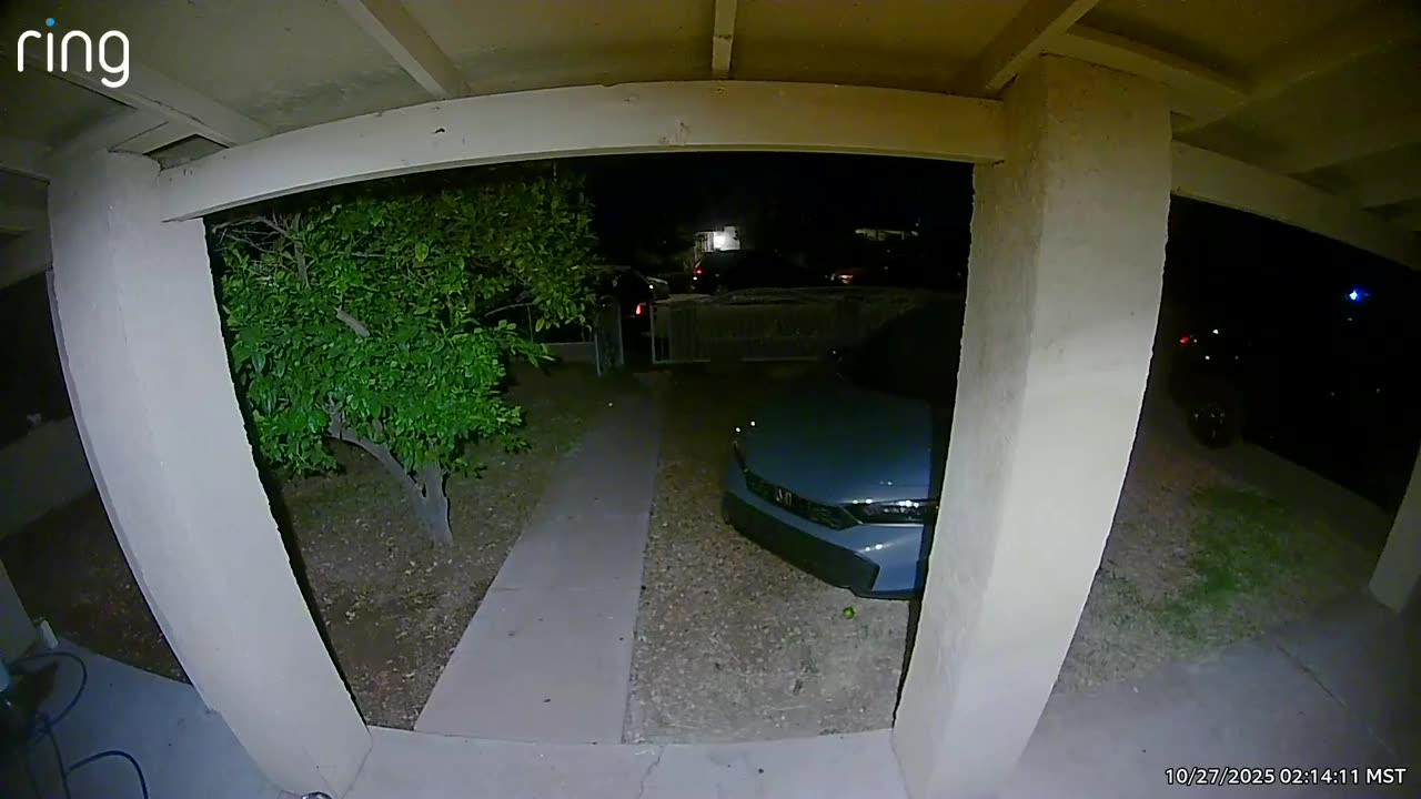 😱🕷️ What is This Creepy Figure? Ring Camera Captures Moth or Shadow Person at 2am | TheHauntingHour