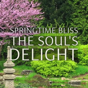 Divine Heart, Shine Bright