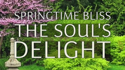 Divine Heart, Shine Bright