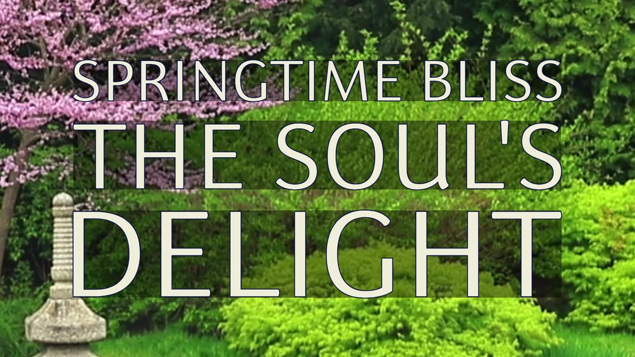 Divine Heart, Shine Bright