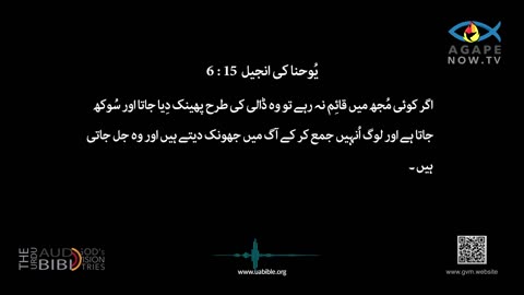 John chap 15 | Gospel ofJohn | Urdu Bible | یوحنا کی انجیل | Yohana ki Anjeel 15 baab