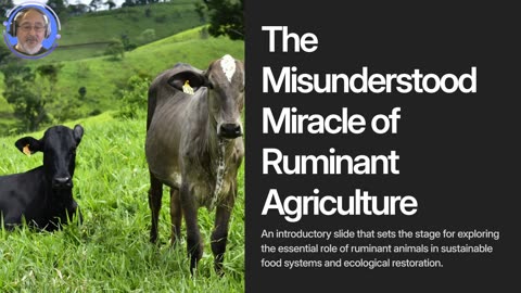 How Ruminant Farming Can Save The Planet