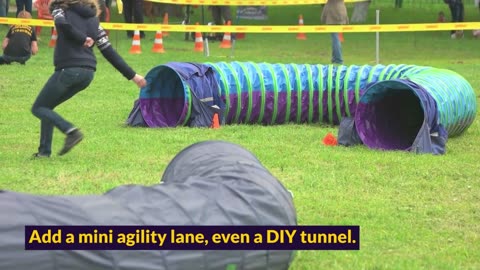 Create the Ultimate Dog-Friendly Outdoor Space Using This Genius Backyard Trick